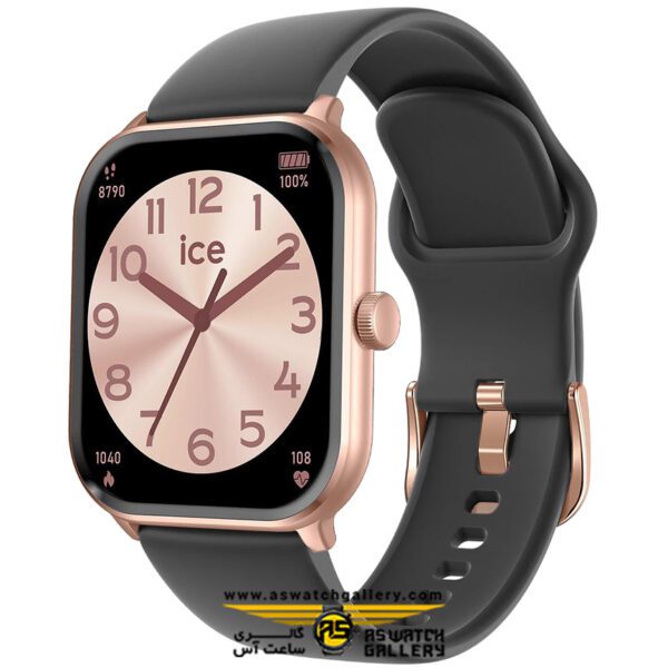 ICE smart-ICE 1.0-RG-2 bands-Nude-Black-1.85